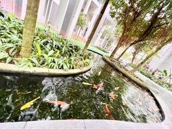 Riversails (D19), Condominium #596214431
